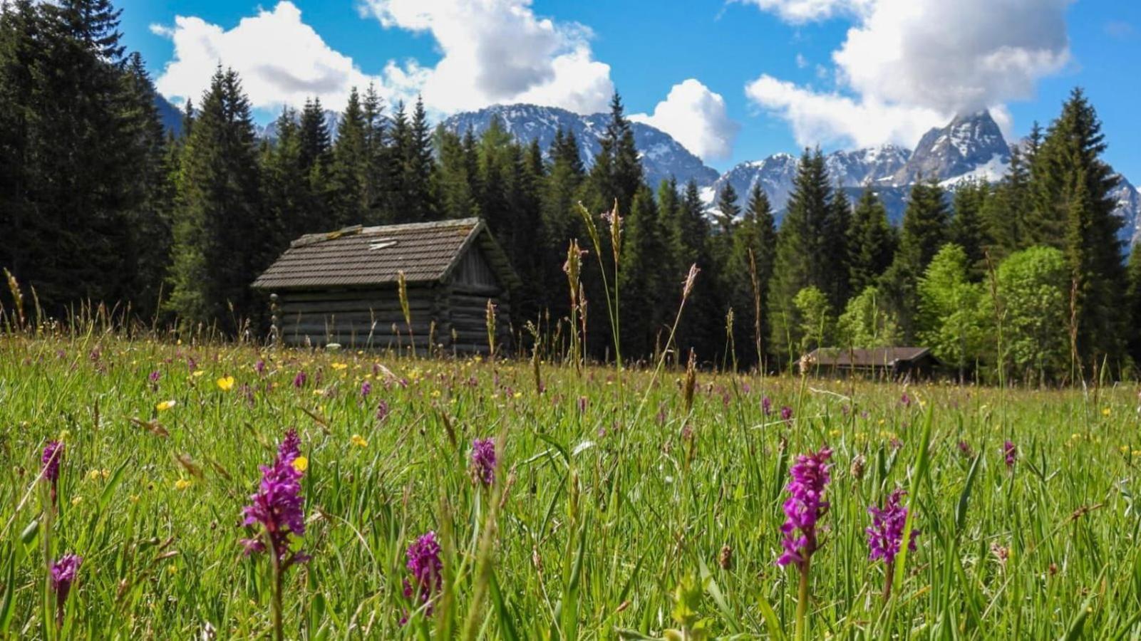 Haus An Der Sonne Fewo 2 Бибервир Экстерьер фото